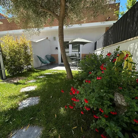 Comforthouse Albatrosmare