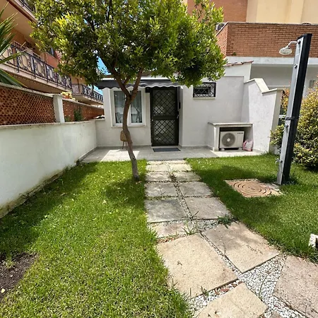 Comforthouse Albatrosmare Ladispoli