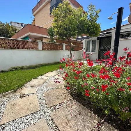 Comforthouse Albatrosmare