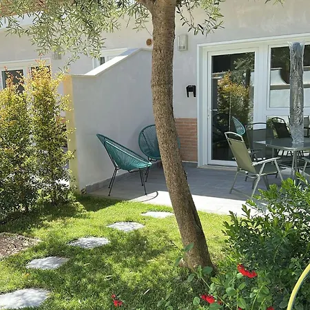 Comforthouse Albatrosmare Ladispoli